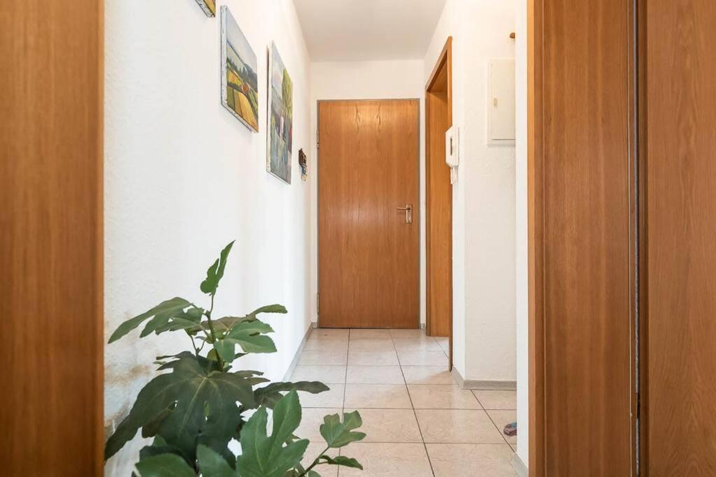 Ferienwohnung Julija Riedheim Hilzingen المظهر الخارجي الصورة